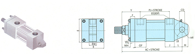 Cap Mounting Fixed Eye